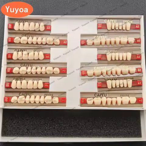3 x 84pcs/set Dental Acrylic Resin Teeth -A2/A3 Shades Full Upper & Lower Denture Set Dentists Lab |