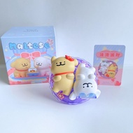 Funism Maltese Enjoy the Moment