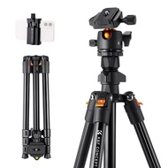 K&F CONCEPT Lightweight Tripod 1.63m 8kg for DSLR (K234A0+BH-36L) ขาตั้งกล้อง