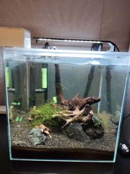 小型魚缸 水族箱