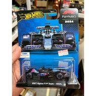 ((Xiaojia Garage) 1/64 HOT WHEELS BWT Alpine F1 A524 (31)