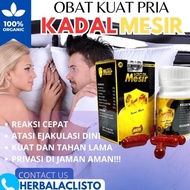 Kadal Mesir Kadal Arab Obat Kuat Pria Tahan Lama