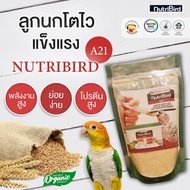 อาหารลูกป้อน NutriBird A21 ฝาเขียว (แบ่งบรรจุ) 200 กรัม อาหารลูกนก สำหรับลูกป้อนทุกสายพันธุ์ นกแก้ว นกกรงหัวจุก นกเขา นกพิราบ นกบินหลา