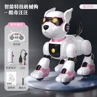 ROTTING CHEN Intelligent Voice Control Robot Dog Toy for Children Boys And Girls Walking Dancing Tal