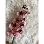 ORKID FLOWER 9 HEART 3D