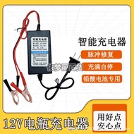 12V Universal Motorcycle Car Battery Charger Lead-acid Storage Tricycle12VOLT Smart Charger O7BR