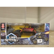KIDS RACING CAR 2.4G VERSION PLAY SET