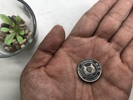 Coin jadul singapura 50 cents