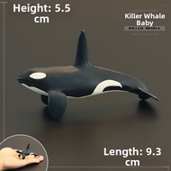 MENGSILE | Realistic Solid Childrens Toy Model of Orca Whale