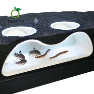 DOWNA Aquarium Decoration Tunnel Caves, Curve Under Gravel Tunnel Aquarium Underground Tunnel Cave, 