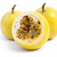 10pcs Biji Benih Markisa Panama Gold/ Panama Gold Passion Fruit (Passiflora edulis) Seeds/黄金百香果