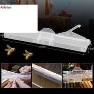 Kidatao 5/10Pcs Beetle Trap Clear Plastic Reusable Beetle Trap Bee Health Suitable For Frame Capture