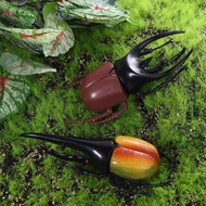 MIQUEL Simulation Beetle Science Toy Animal Collection Insect Toy Simulation Animals Beetle Figures 