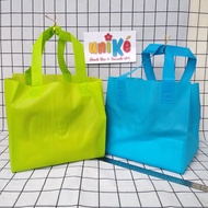 Spunbond Rice Box Bag 22x22 Box HLS Celebration Bag Goodie Bag D22 D20