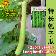 100% Original High Yield F1 Upo Seeds for Planting Vegetables Long Bottle Gourd Seeds for Sale (Fres