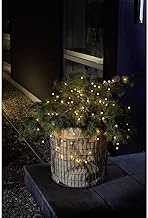 Konstsmide 3741-100 LED Globe Fairy Lights with Round Diodes/for Outdoor Use (IP44) / Battery Operat