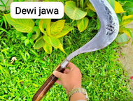 arit rumput dewi bintang dm jawa