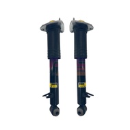 Pair Rear Right Left Shock Struts Assys w/o EDC Fit BMW X5 X6 E70 E71 2007-2014