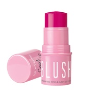 SILKYGIRL Cool Chic Blush Stick 02 Pink 1s