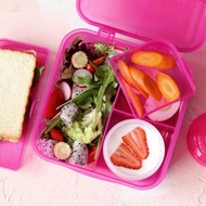 新西蘭sistema多分格野餐盒三明治盒 減脂輕食蔬菜水果沙拉便當盒