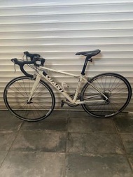 GIANT 公路單車 電動單車 單人 三輪單車 適合任何 成人 家庭 老人 工人姐姐  帶寵物 去街 貓貓狗狗 返工 返學 買餸 接放學 不是 電動滑板車  three wheels single f