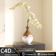 C4D Indoor Living Room Decoration Vase Flower Pot Orchid OC Rendering Engineering File Model File wi