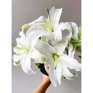 White Lily Flowers Yunnan Straight Hair Siberian Perfume Lily Multi-Head Fresh Cut Flower Bouquet SF