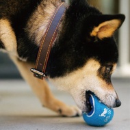 寵物玩具 戶外防水 發聲網球組(4入)