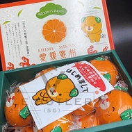 爱媛蜜柑 EHIME MIKAN