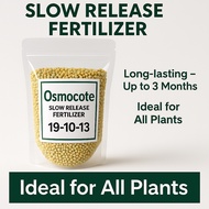 Osmocote Slow Release Fertilizer 19-10-13 | Baja Pokok 肥料 | Fertilizer for Plant 多肉肥料