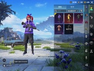 PUBG AC(回歸,有改名卡)