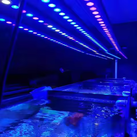 LED Fish Tank Light Blue and UV 2/3/4/5ft Aquarium Light Bar Landscape Smart Dimming Timer Full Spec