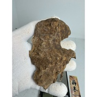 Cambodia Koh Kong Wild Oud Agarwood