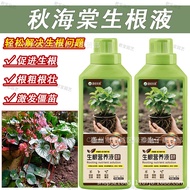 Begonia Rooting Liquid Hydroponic Plant Universal Nutrient Solution Indoor Gardening Potted Plant Fl