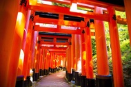 京都伏見稻荷大社所以飯店So Kyoto Fushimi Inari