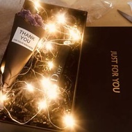 5M, 10M Xmas Lighting Strips, Party Decoration LED Lightings|5米10米派對專業燈串 [Christmas decoration, Chri