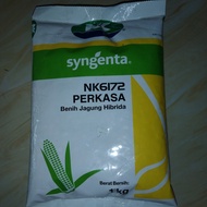 syngenta perkasa