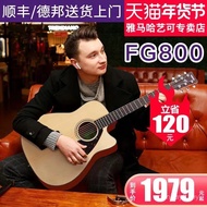 Gitar YAMAHA FG800 asli dengan permukaan kayu padu, kotak akustik-elektrik, sesuai untuk pemula, lel