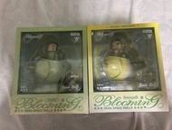 MEGA SPACE MOLLY 100% Blooming