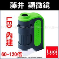 綠色 藤井 內建 LED 攜帶型 顯微鏡 UV紫外線燈 60-120倍 RXT203N 可調焦 迷你 LUCI日本代購