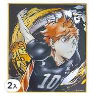 Haikyu 排球少年!! 激鬥!!閃亮色紙 日向翔陽 1色 2張