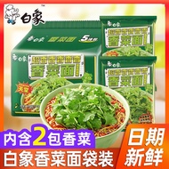 现货【包邮】白象香菜面方便面袋装速食懒人蔬菜面饼辣牛肉汤底泡面25.11.17Spot [postage] white elephant cilantro noodles instant noodle