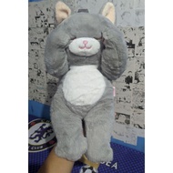 Jinyoung Global Dream Korean Grey Cat Doll