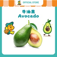 DoReMi Fruits -Avocado Fresh Healthy Snack