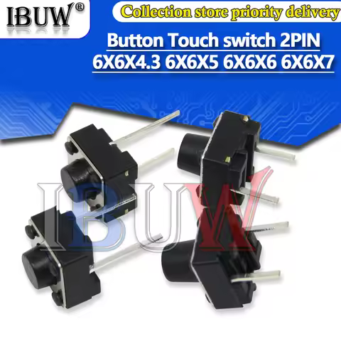 100PCS Button Touch switch button DIP 2pin Light touch switch DIP2 Touch High quality 6X6X4.3 6X6X5 