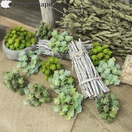 OCEANMAPDZ Mini Artificial Cactus Plant, Realistic Plastic Artificial Succulent Plant, Simulation Ca