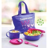 Tupperware PURPLE DELIGHT LUNCH Box Set