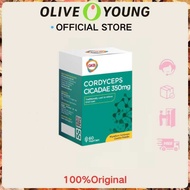 GKB Cordyceps Cicadae 350MG| Relieved tired eyes EXP:2028