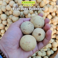 buah duku palembang fresh manis ukuran besar 1kg