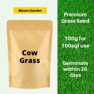 【FREE Fertilizer】Bloom Garden Premium Cow Grass / Grass Seed / Biji Benih Rumput